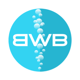 Blue Water Bytes - Wordpress Developer